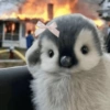 Pingüino cute🐧 13