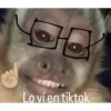Monos 7