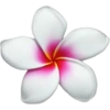 Iphone Emojis 🌺💕 22