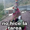 no hice la tarea