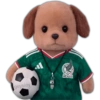 MEXICO geysioy