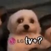 L LG tv+?