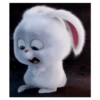 Snowball 🐇 29