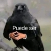 🍷🗿 MEMES ELEGANTES 🗿🍷 15