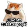 Cuánto cuestas papi?