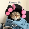 Hoy es viernes de... 16
