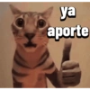 Gatos Pal grupo👑 5
