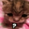 🐈-Cats-🐈 26