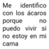 Me identifico con los ácaros porque no puedo vivir si no estoy en mi cama