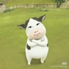 Sion Cow Meme Sapi 12