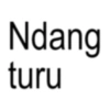 Ndang turu
