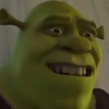 🏰🟢 SHREK MOODS 🟢🏰 12