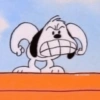 🐾Snoopy enojado 😡 2 🦴 21