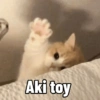Gatitos Memes😺✨💕8 17