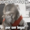 🐒 Macaco Engraçado  19
