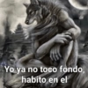Lobo solirario 🐺 | meme 28