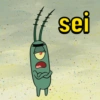Pack fenda do biquini 15