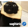 sagitário