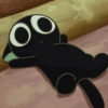 Gatito. | @ocenferios  Haki. 8