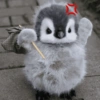Pingüino cute🐧 12