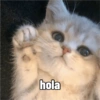 Michis 🤭😺💯 14