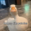 Animaladas Random🤪✨5 13
