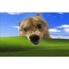 Memes de cachorro 20