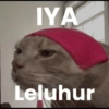 MEME KUCING🤣 9