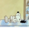 Snoopy  27
