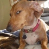 Bombastis side eye  11