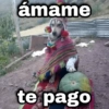 ámame te pago