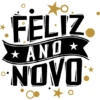 Ano novo 15