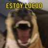Reações variadas 😂 14