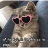 Cattiesays 😺🐈 19