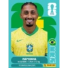⚽️ FIGURITAS MUNDIAL 2026 ⚽️ 8