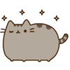 Gatinho fofo 6