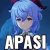 APASI