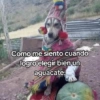 🍃🐶🧿 Perro Chamán 🧿🐶🍃 9
