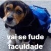 QUE PREGUIÇAAAAA 8