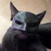 CHEGOU O HALLOWEEN 14
