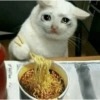 Meow Memes 😾 13