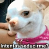 Intentas seducirme?