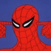 Memes homem aranha 12