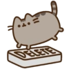 Gatinho fofo 17