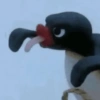 🐧 Pingu 📺 14