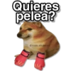 Memes V1👸🏻  13