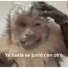 Memes 27 28