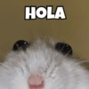 Animalitos chiquitos🫶🏻 13