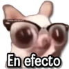 Stickers Pa Contestar1®️  10