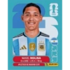 Argentina fútbol ⚽️Estampas 14
